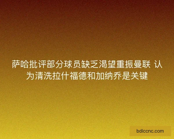 萨哈批评部分球员缺乏渴望重振曼联 认为清洗拉什福德和加纳乔是关键