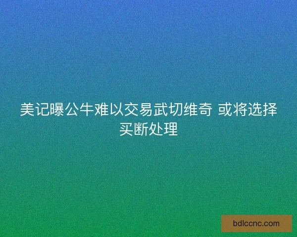 美记曝公牛难以交易武切维奇 或将选择买断处理
