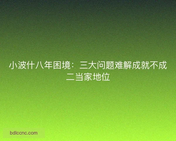 小波什八年困境：三大问题难解成就不成二当家地位